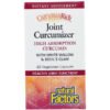 Natural Factors, CurcuminRich, Joint Curcumizer, 60 Vegetarian Capsules