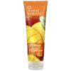 Desert Essence, Loção para Mãos e Corpo, Manga da Ilha, 8 fl oz (237ml) 1 Desert Essence, Loção para Mãos e Corpo, Manga da Ilha, 8 fl oz (237ml)