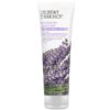 Desert Essence, Hand and Body Lotion, Bulgarian Lavender, 8 fl oz (237 ml)
