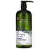 Avalon Organics, Shampoo, Nourishing Lavender, 32 fl oz (946 ml) 1 Avalon Organics, Shampoo, Nourishing Lavender, 32 fl oz (946 ml)