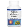 Natural Factors, WellBetX, Mulberry Extract, 100 mg, 90 Capsules