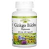 Natural Factors, Ginkgo Biloba, Phytosome, 60 mg, 60 Capsules