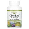 Natural Factors, HerbalFactors, Olive Leaf, 500 mg, 60 Capsules 2 Natural Factors, HerbalFactors, Olive Leaf, 500 mg, 60 Capsules