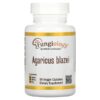 California Gold Nutrition, Agaricus Blazei, 90 Veggie Capsules