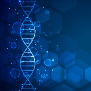 antiaging supplements